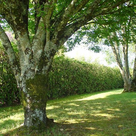 Chambre D'Hotes Bellevue Bressuire Bagian luar foto